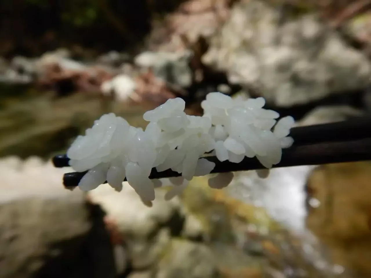 モンベル スタックイン 野箸