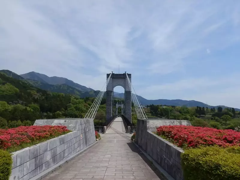 丹沢 三ノ塔 風の吊橋