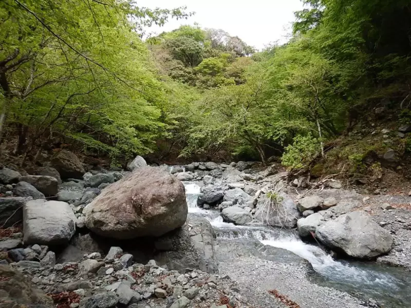 沢登りの魅力 穏やかな渓相