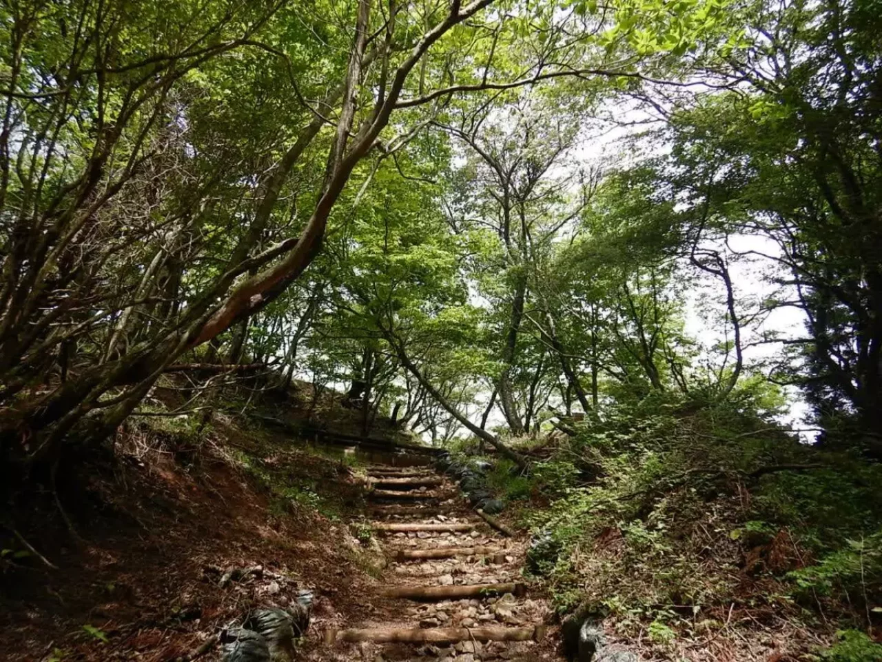 烏尾山 登山 登山道