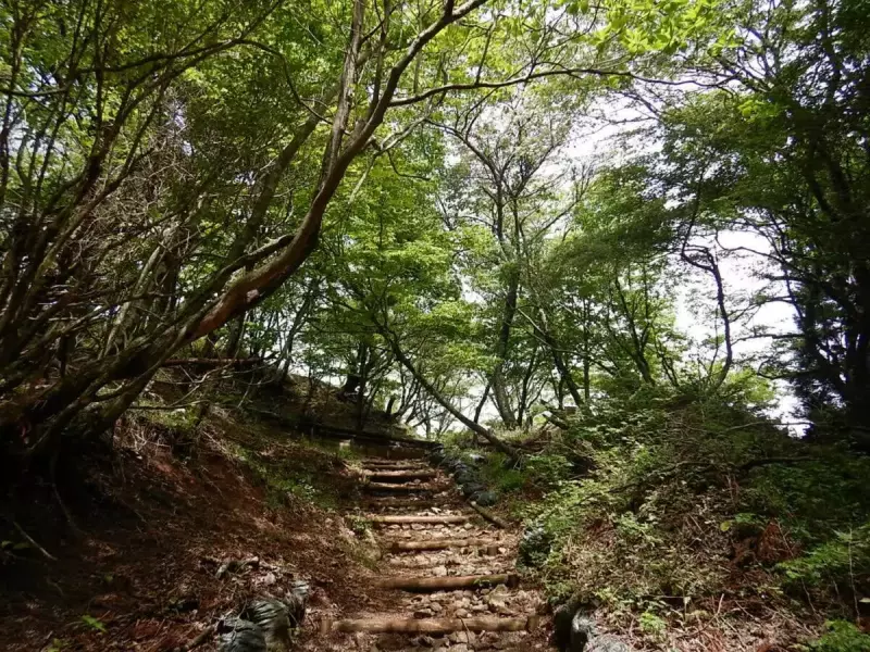 烏尾山 登山 登山道