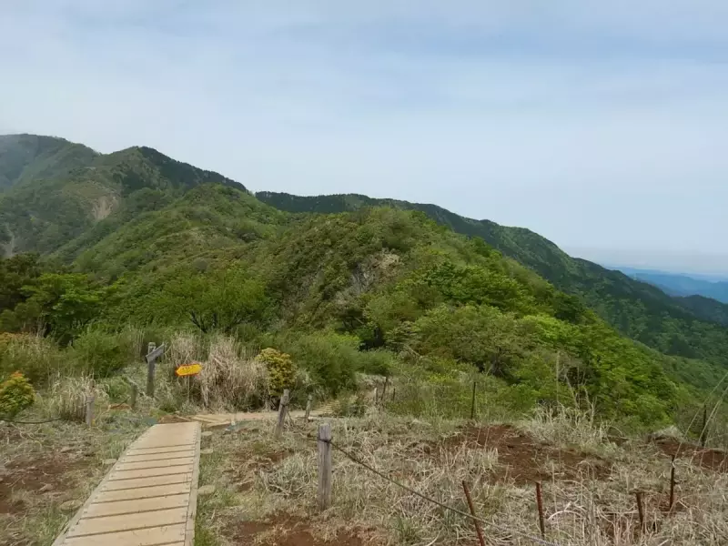 烏尾山 登山 登山道