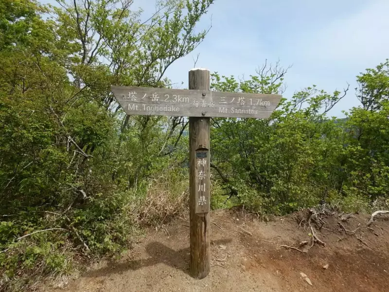 烏尾山 登山 行者ヶ岳 山頂