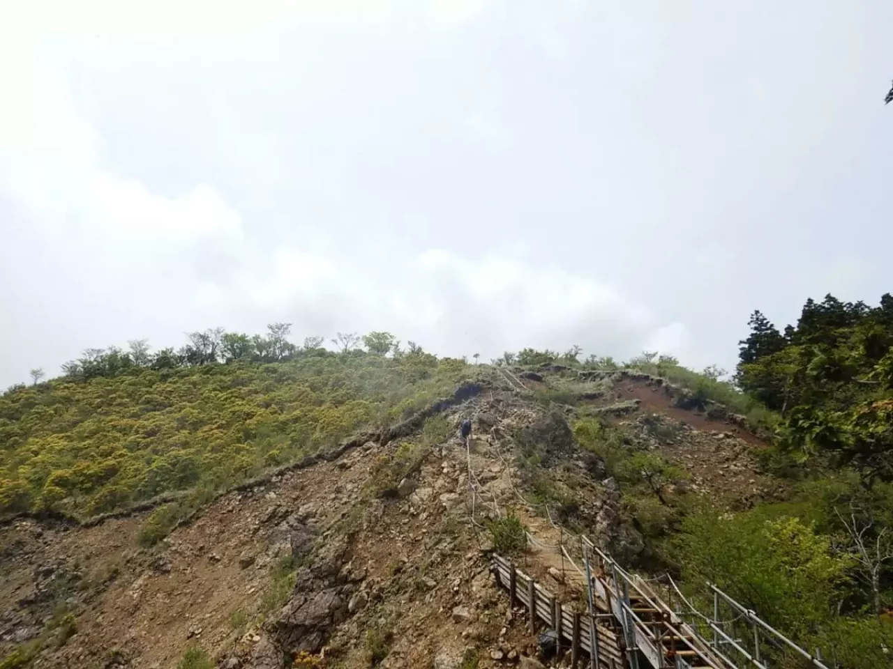 烏尾山 登山 登山道