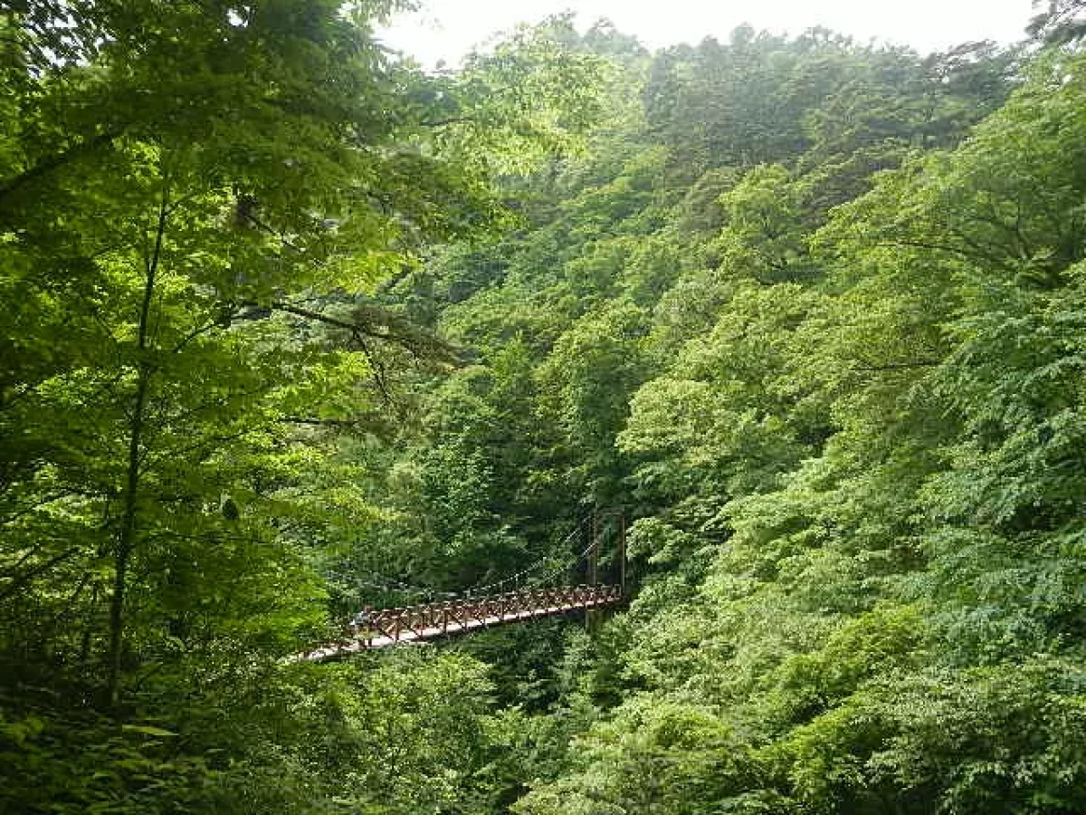 奥多摩 都民の森と体験の森
