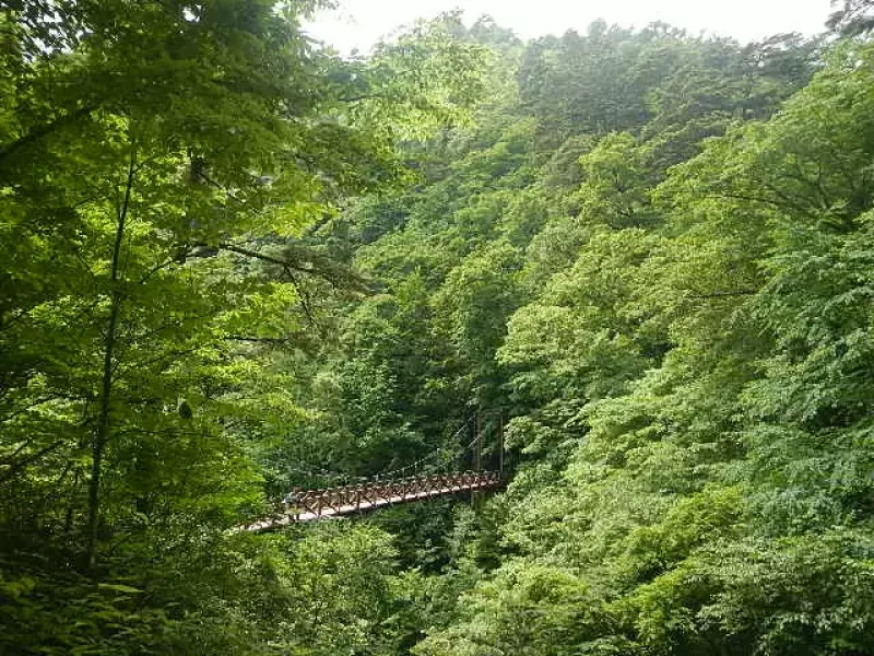 都民の森と体験の森