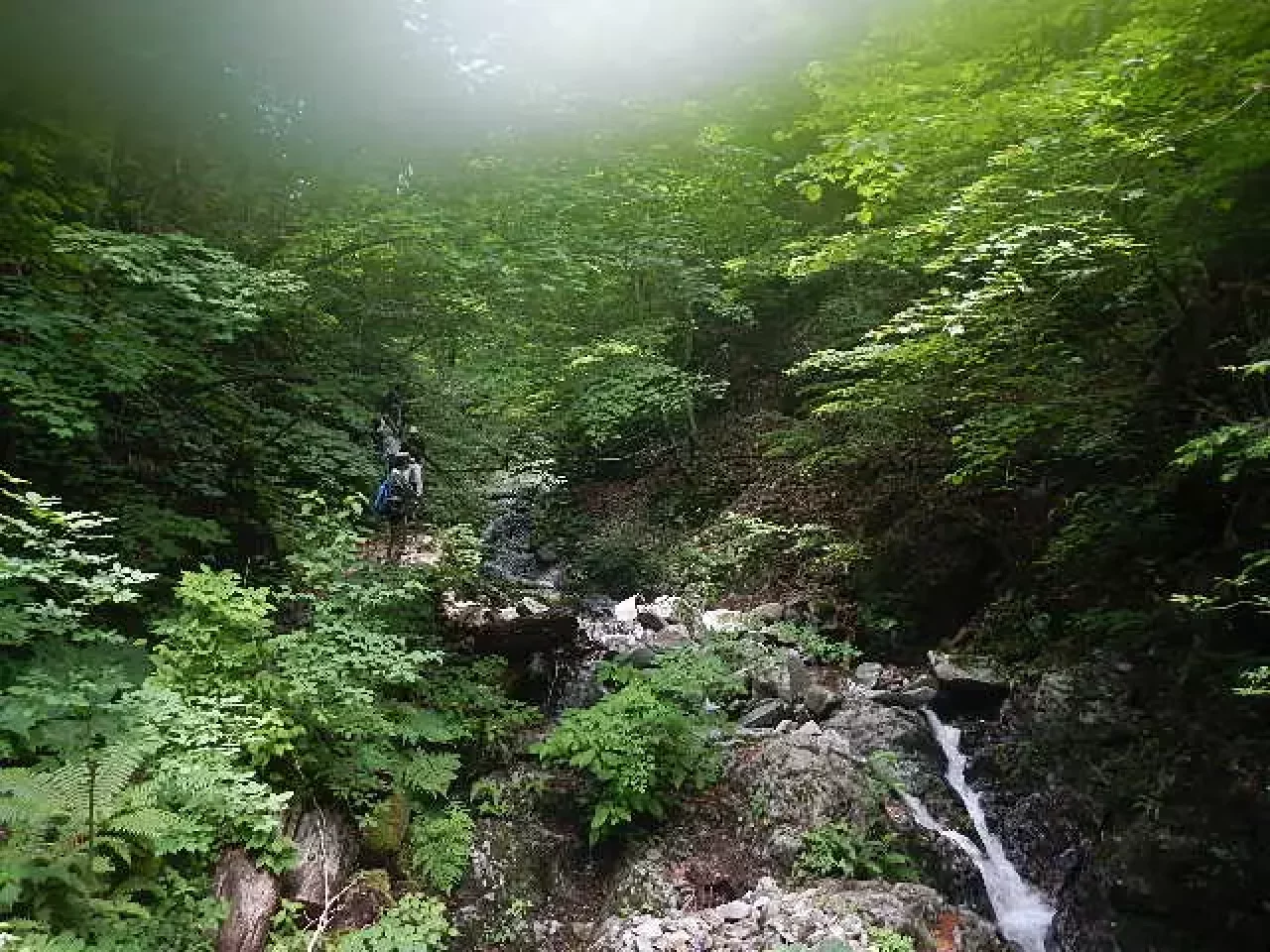 都民の森と体験の森