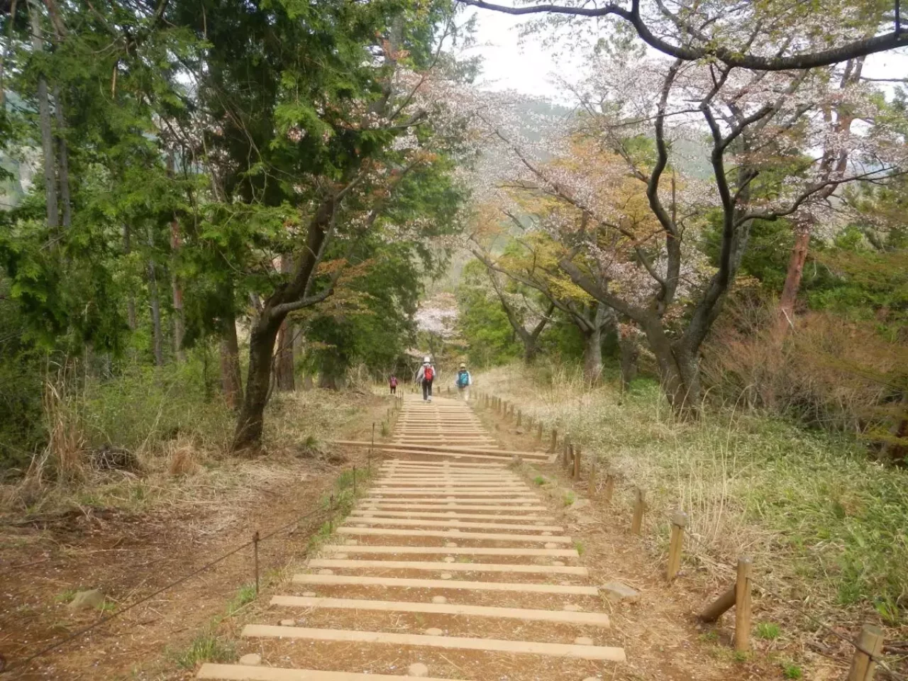 景信山 登山 登山道