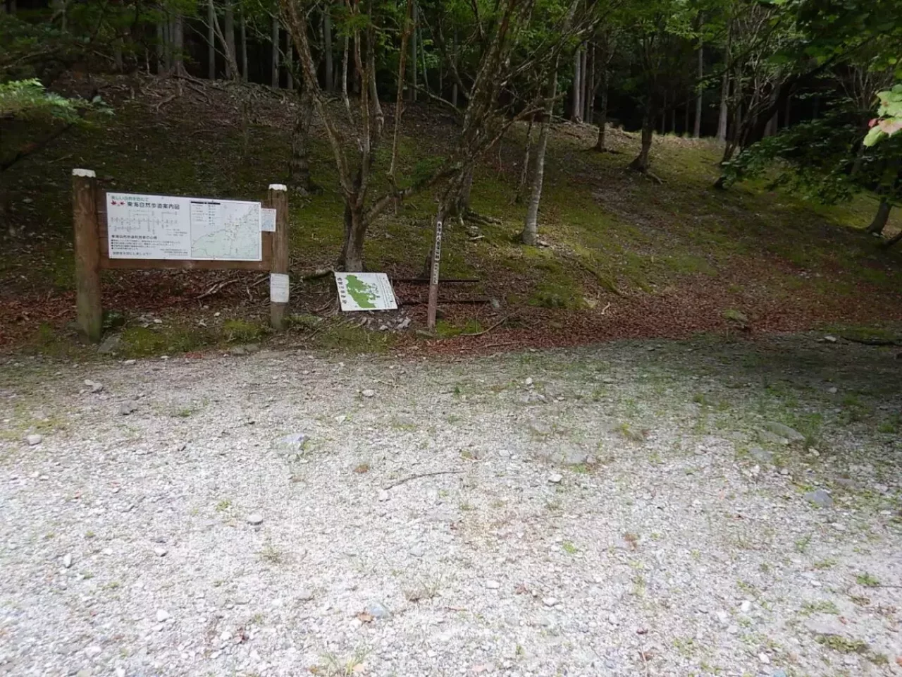 丹沢 大室山 加入道山 用木沢出合