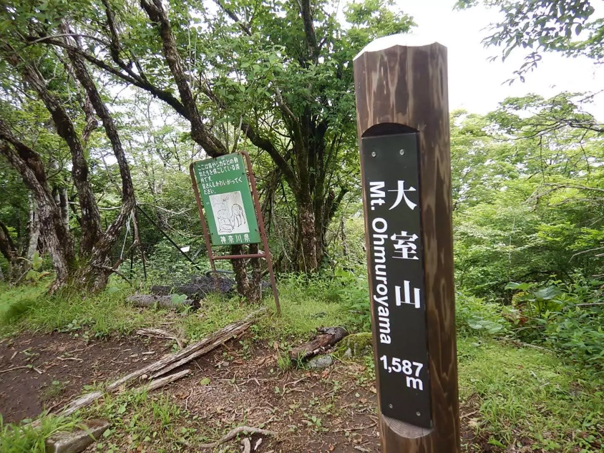 【日帰り登山】大室山登山−初心者から楽しめるルート紹介