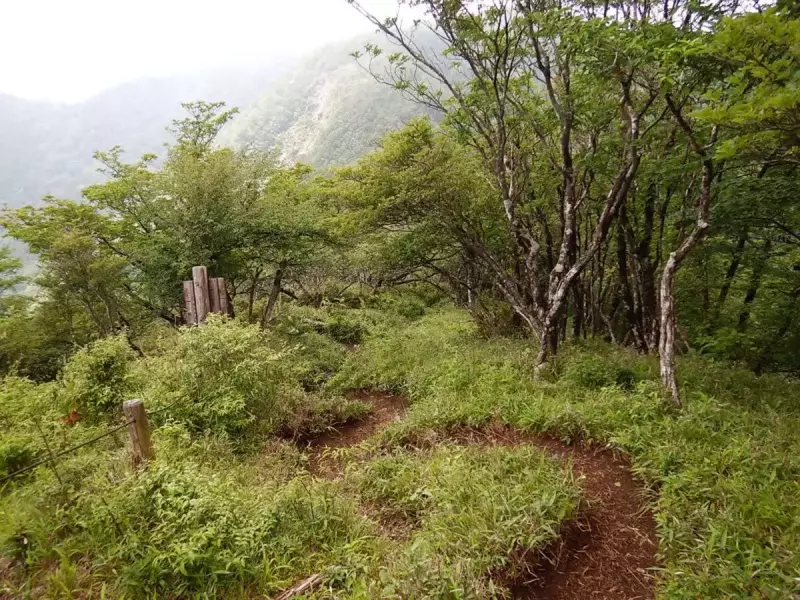 丹沢 大室山 加入道山 稜線