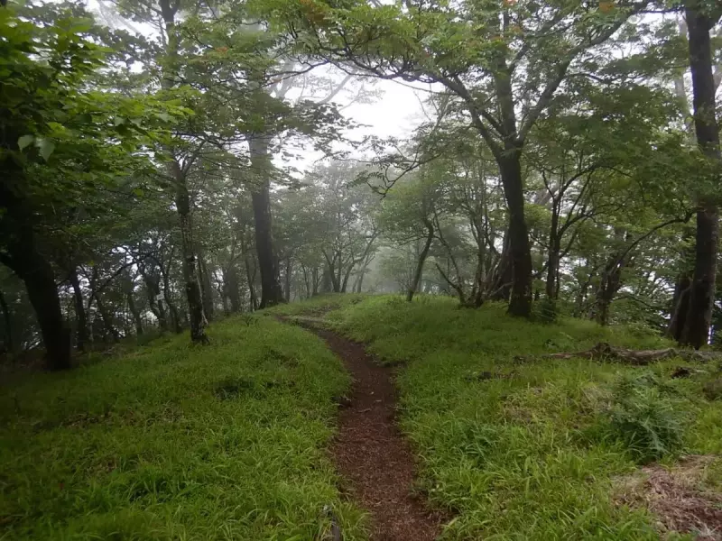 丹沢 大室山 加入道山 登山道