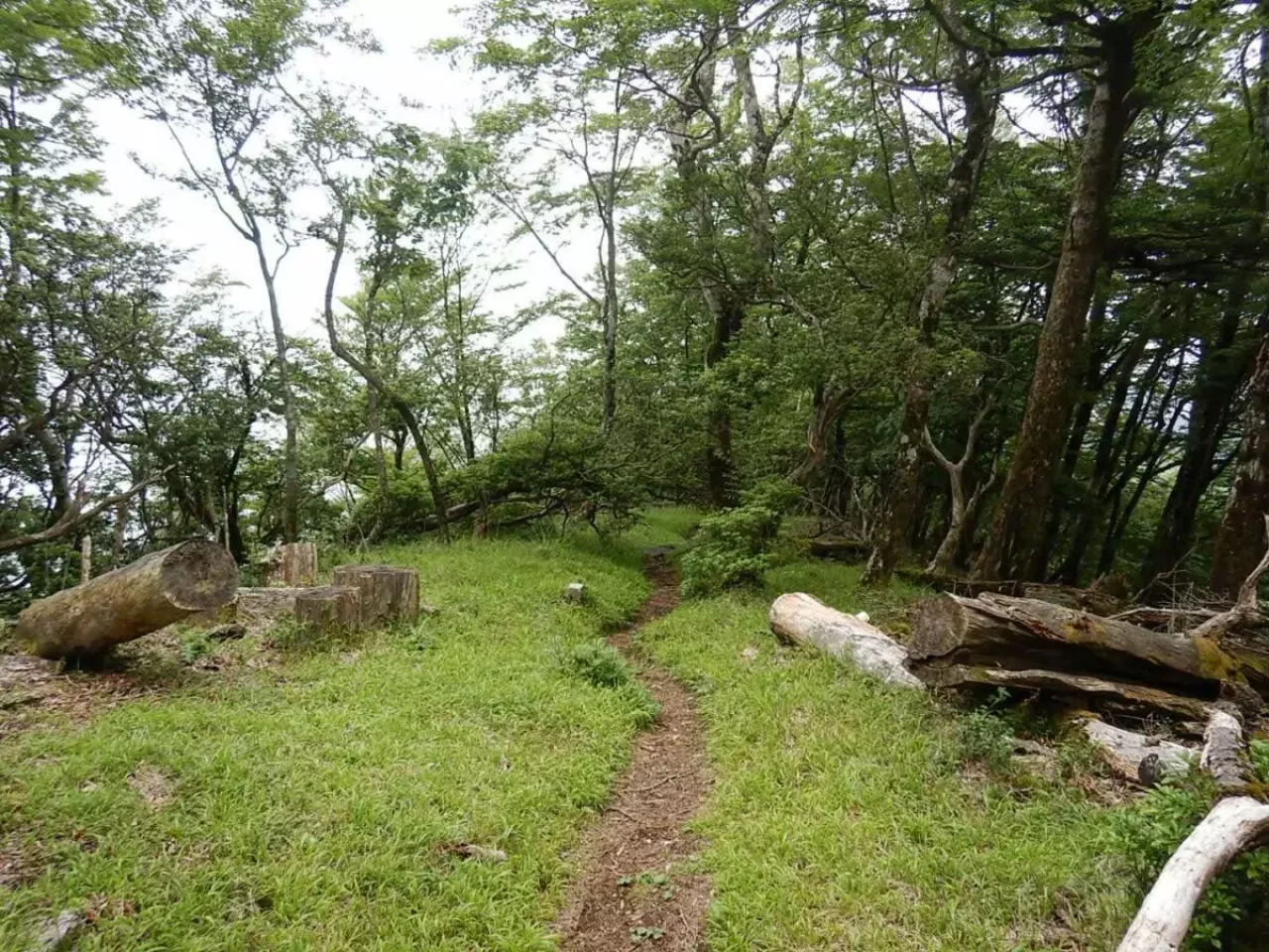 畦ヶ丸 登山 登山道