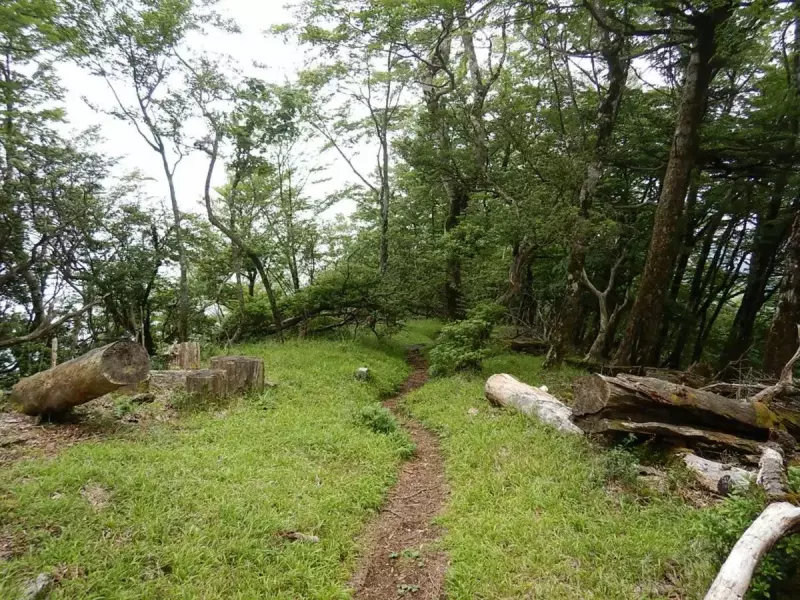 畦ヶ丸 登山 登山道
