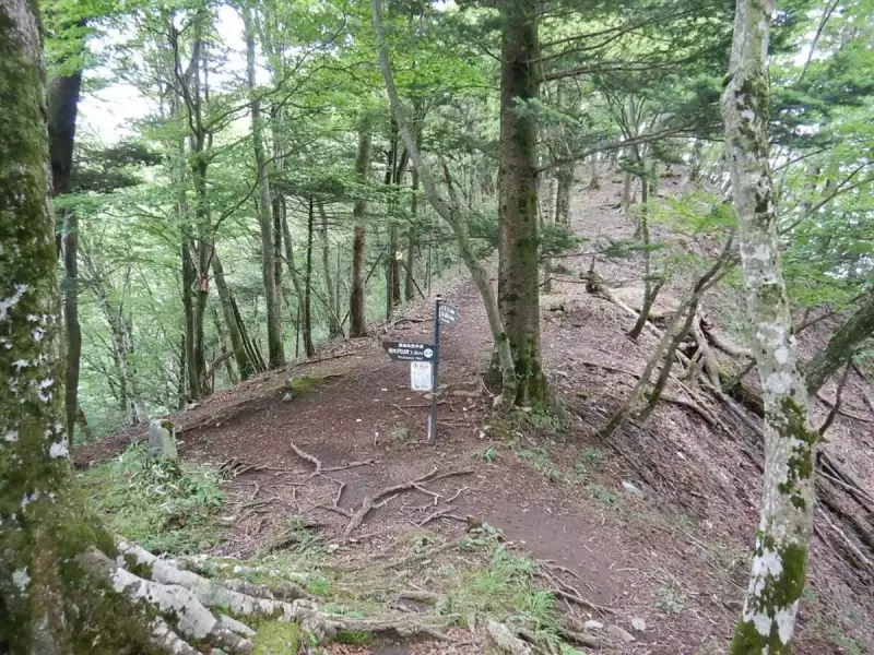 畦ヶ丸 登山 登山道