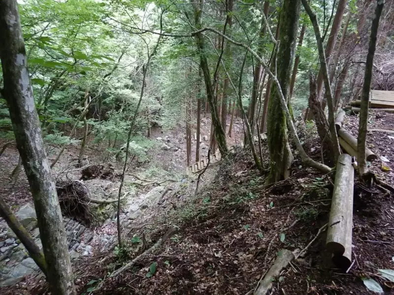 畦ヶ丸 登山 登山道