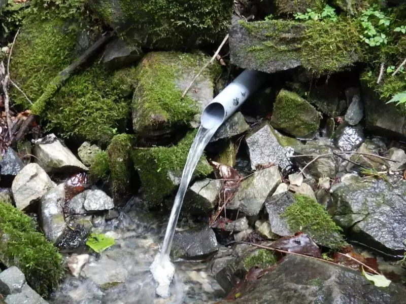 畦ヶ丸 登山 水場