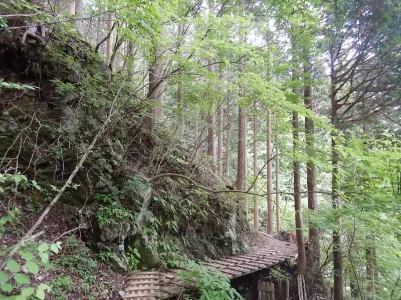 畦ヶ丸 登山 登山道