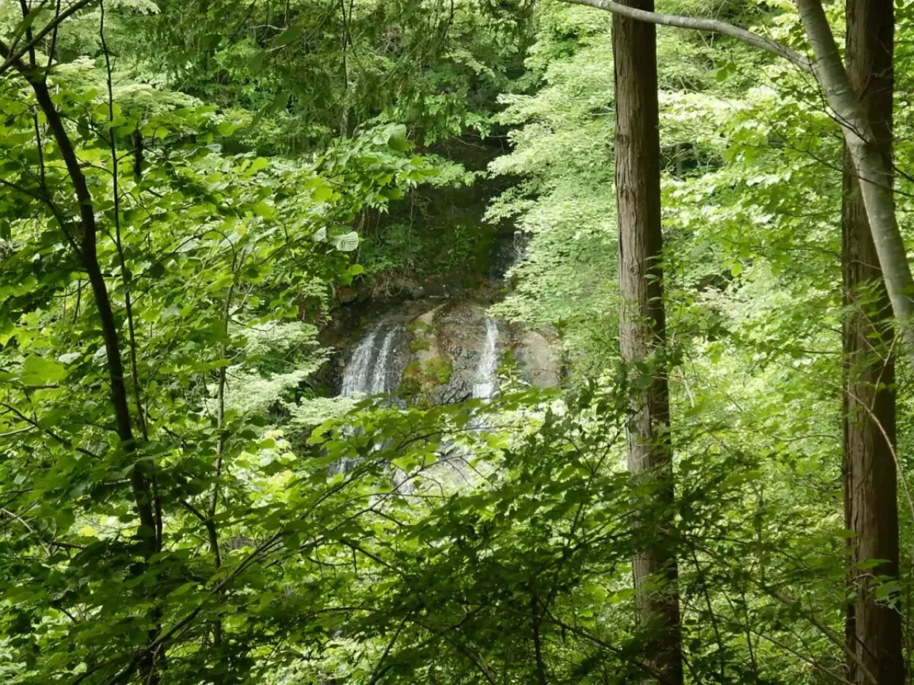 畦ヶ丸 登山 白石ノ大滝