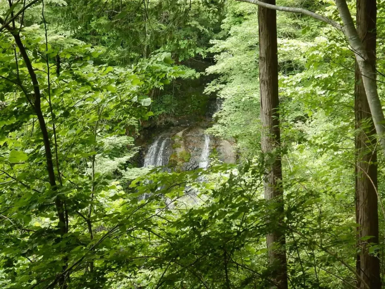 丹沢 大室山 加入道山 白石大滝