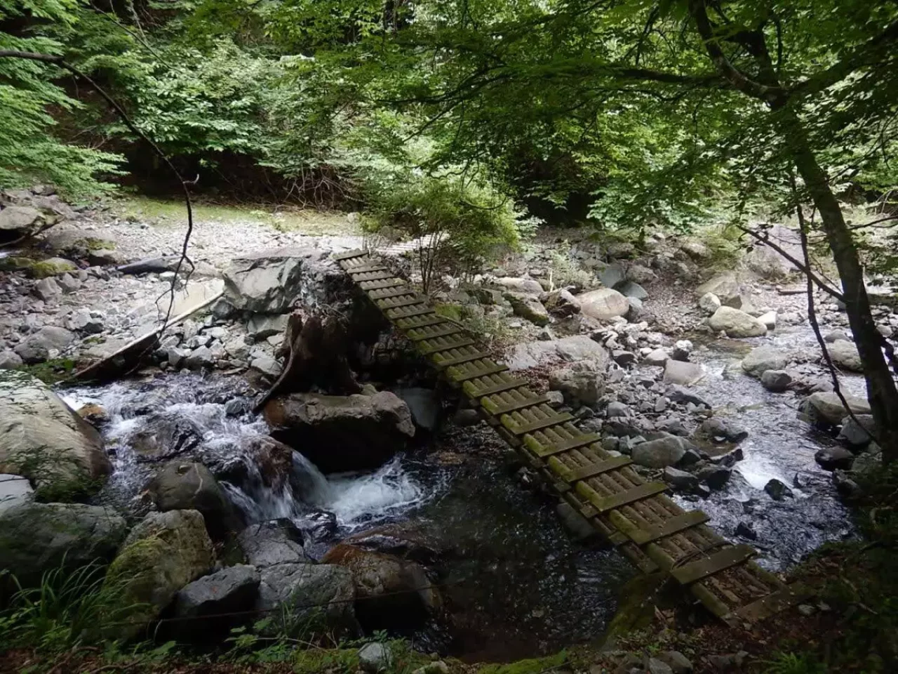 丹沢 大室山 加入道山 木橋