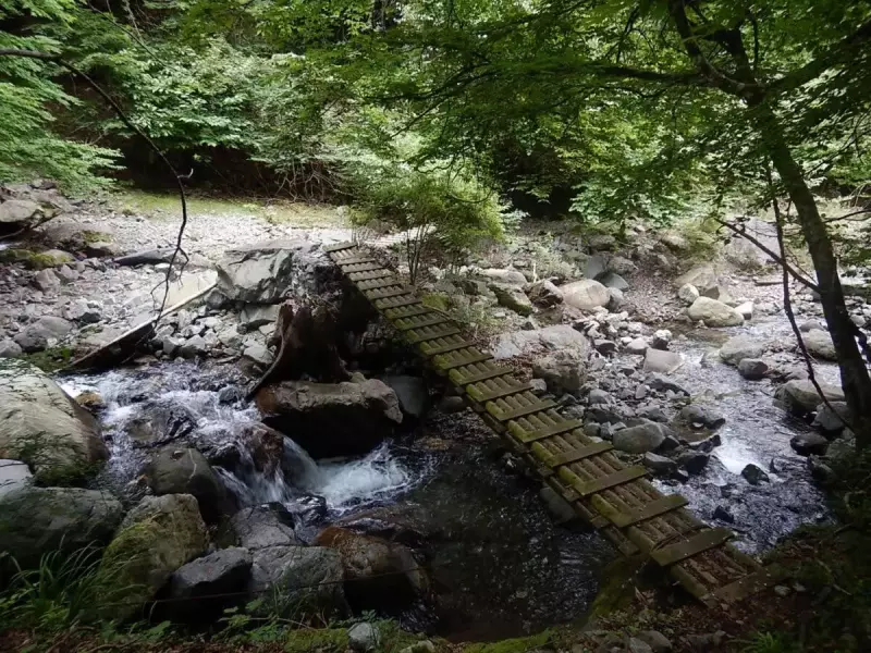 丹沢 大室山 加入道山 木橋