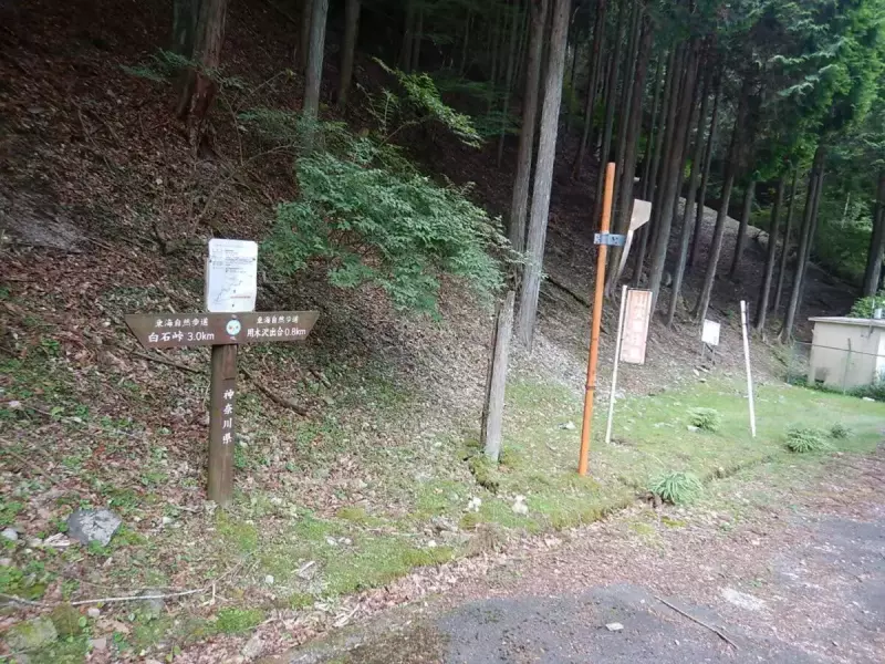 丹沢 登山 檜洞丸 用木沢出合