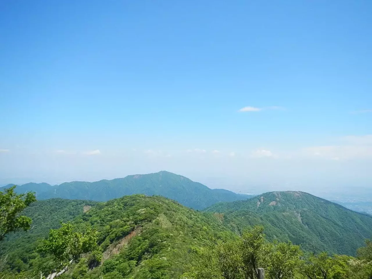 低山 おすすめ 夏の塔ノ岳