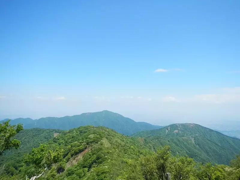 低山 おすすめ 夏の塔ノ岳