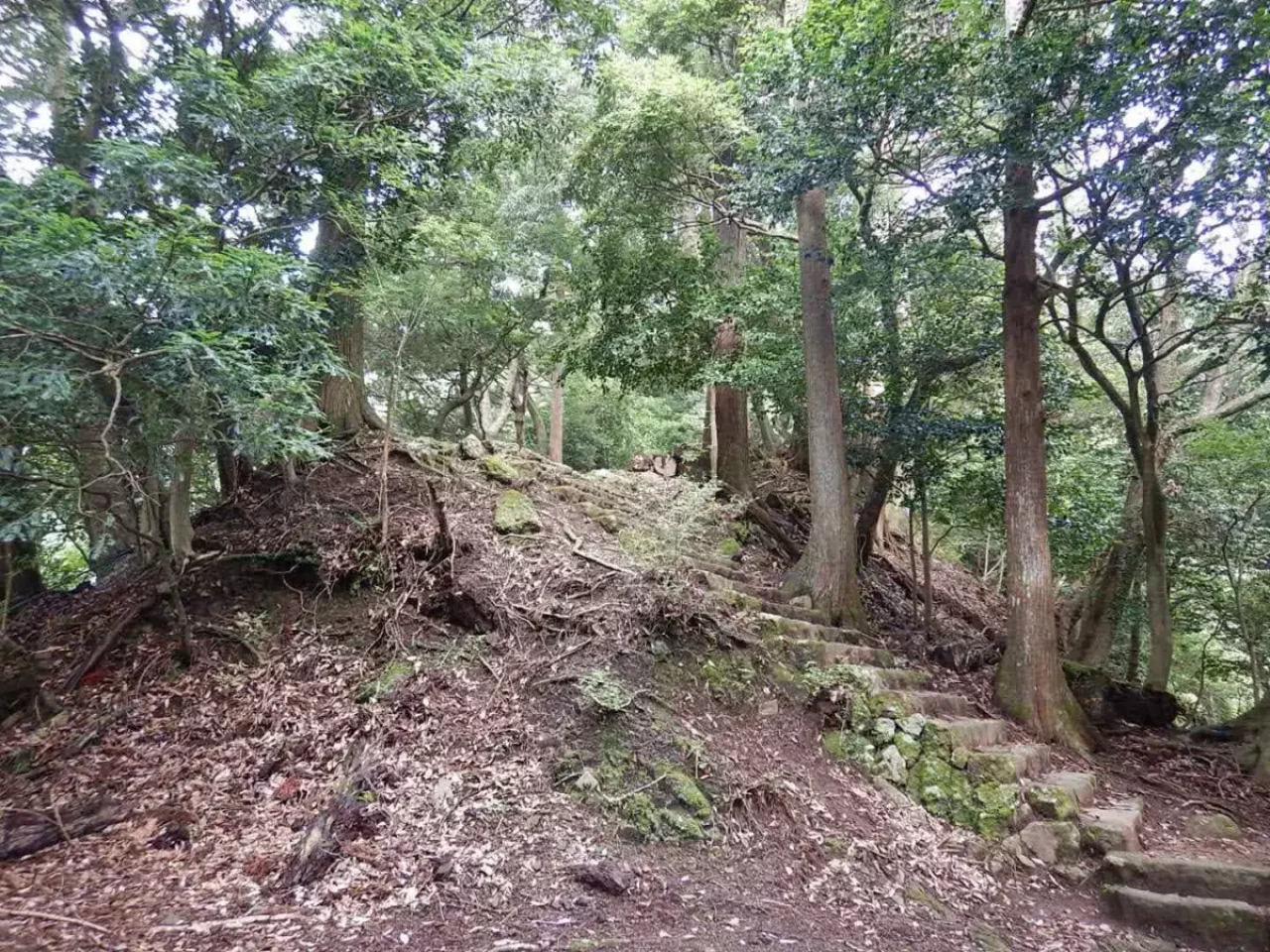 大山 登山 おすすめ 男坂