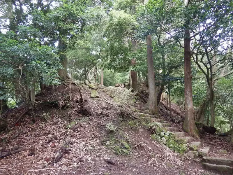 大山 登山 おすすめ 男坂