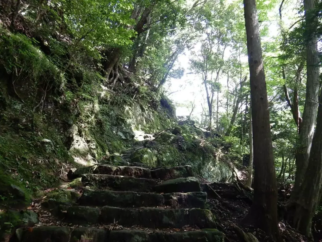 大山 登山 おすすめ 男坂