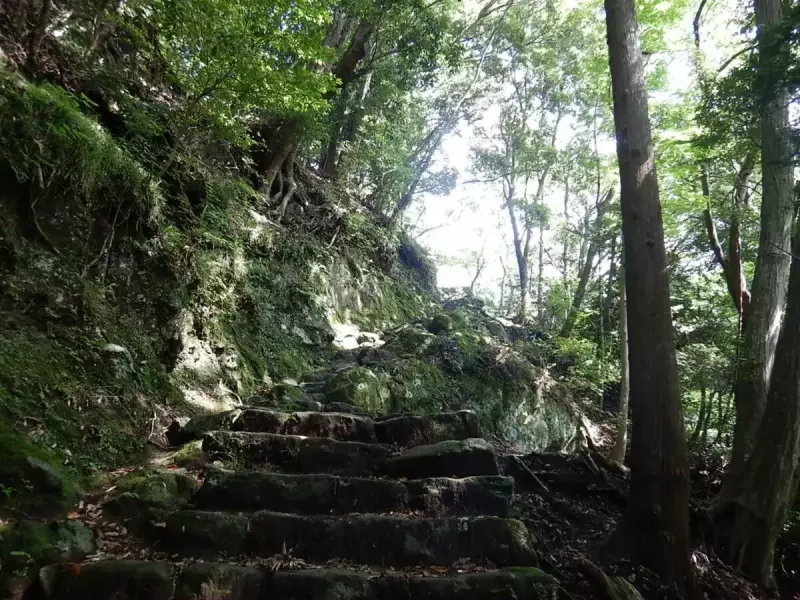 大山 登山 おすすめ 男坂