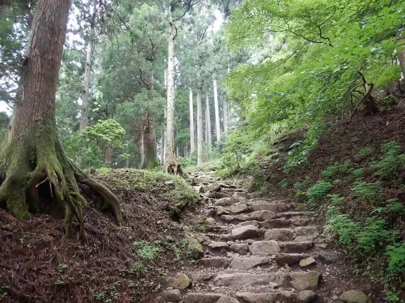 大山 登山道