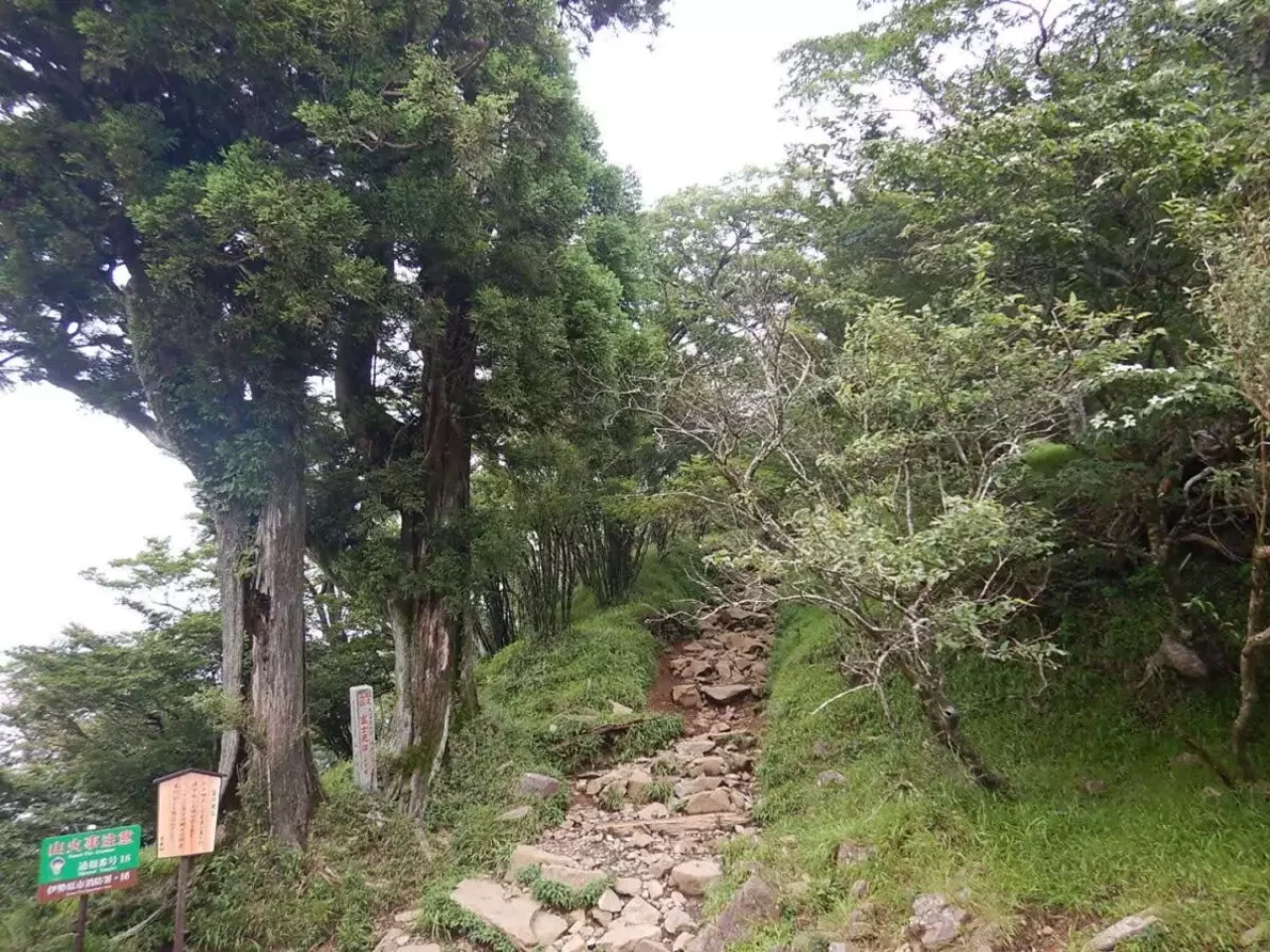 関東百名山 神奈川 大山 登山道