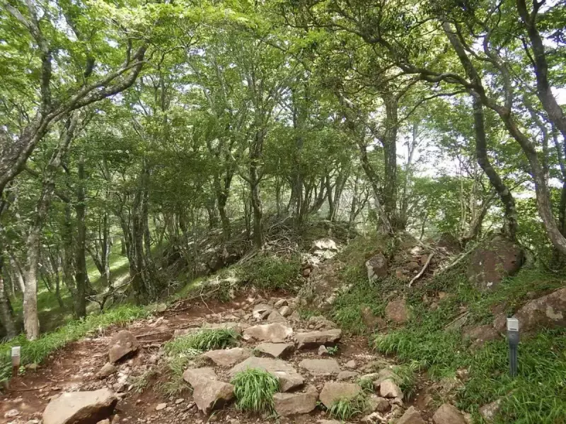 大山 登山 おすすめ 表参道