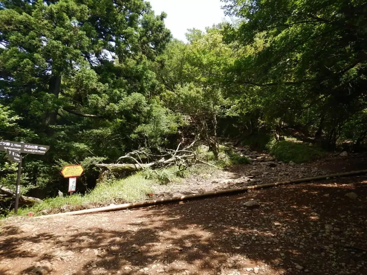 大山 登山 おすすめ 表参道