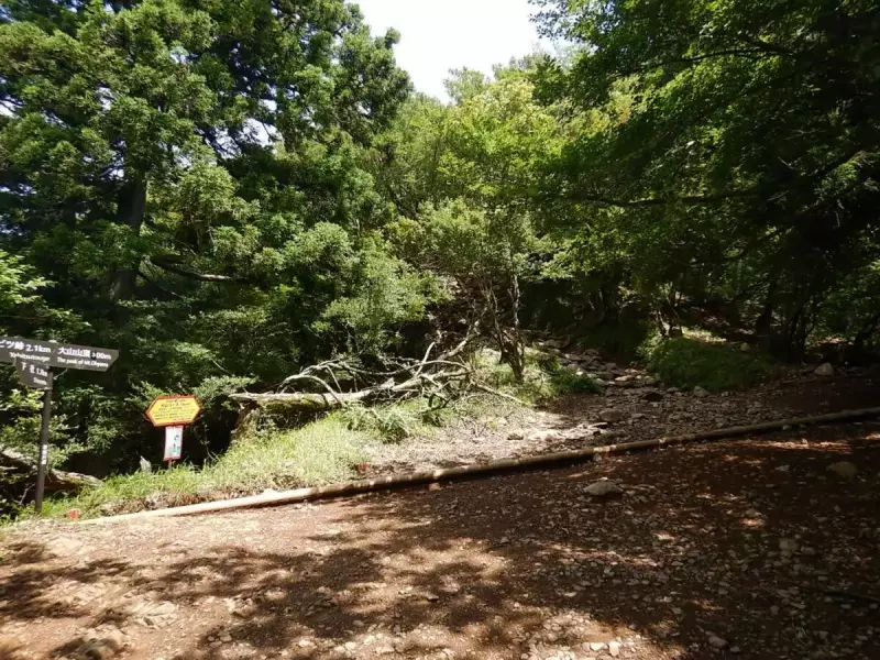 大山 登山 おすすめ 表参道