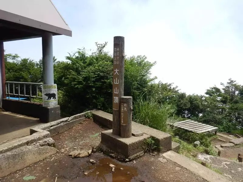 大山 登山 おすすめ 山頂