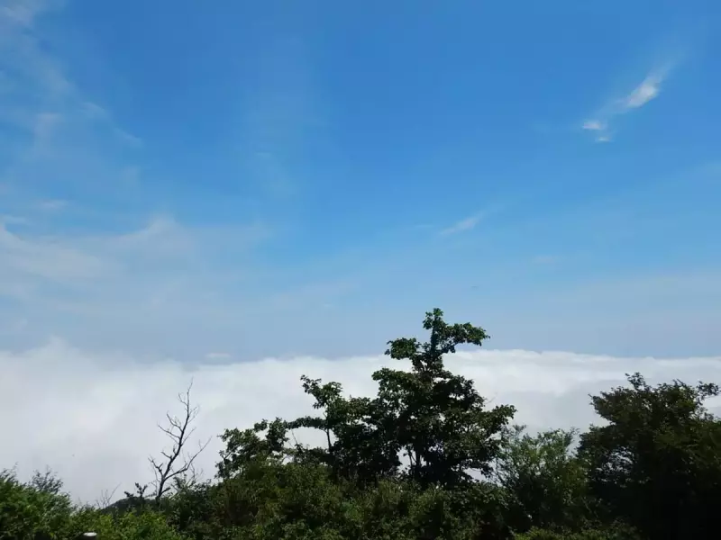 大山 登山 おすすめ 雲海