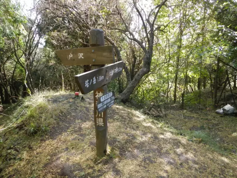 低山 おすすめ 塔ノ岳 天神尾根分岐