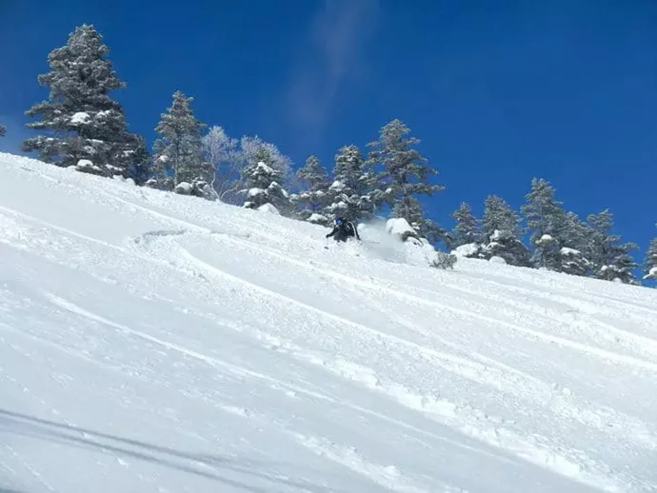 プレセッションかぐら