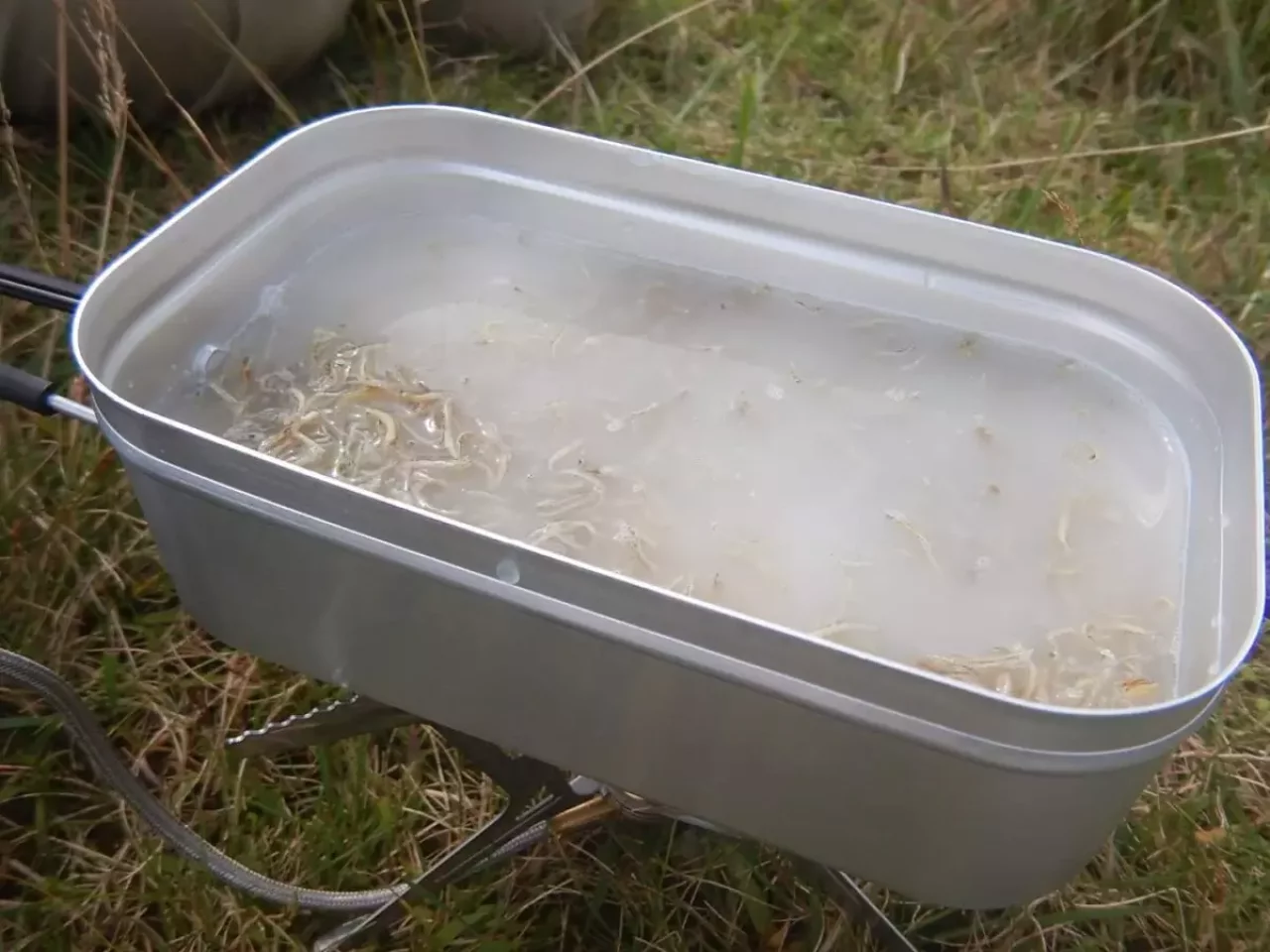 メスティン トランギア 炊き込みご飯 じゃこご飯 加熱