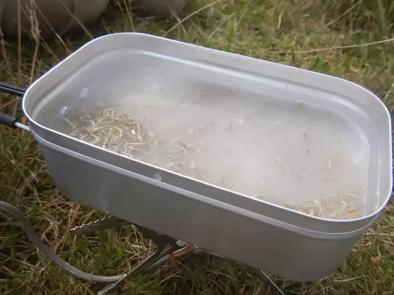 メスティン トランギア 炊き込みご飯 じゃこご飯 加熱