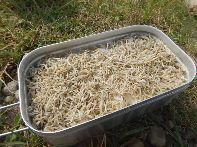 メスティン トランギア 炊き込みご飯 じゃこご飯 盛り付け