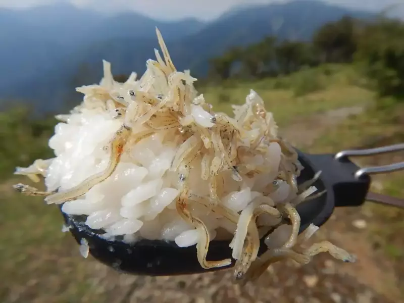 メスティン トランギア 炊き込みご飯 じゃこご飯