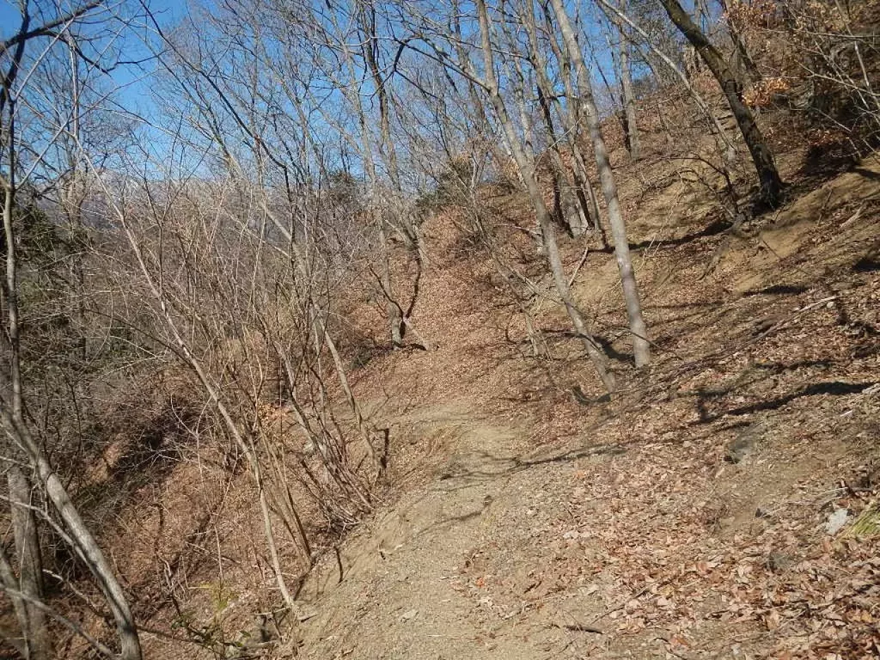 岩殿山 登山 登山道