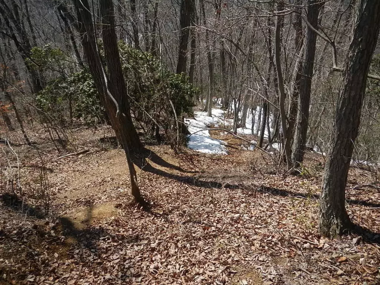 岩殿山 登山 登山道