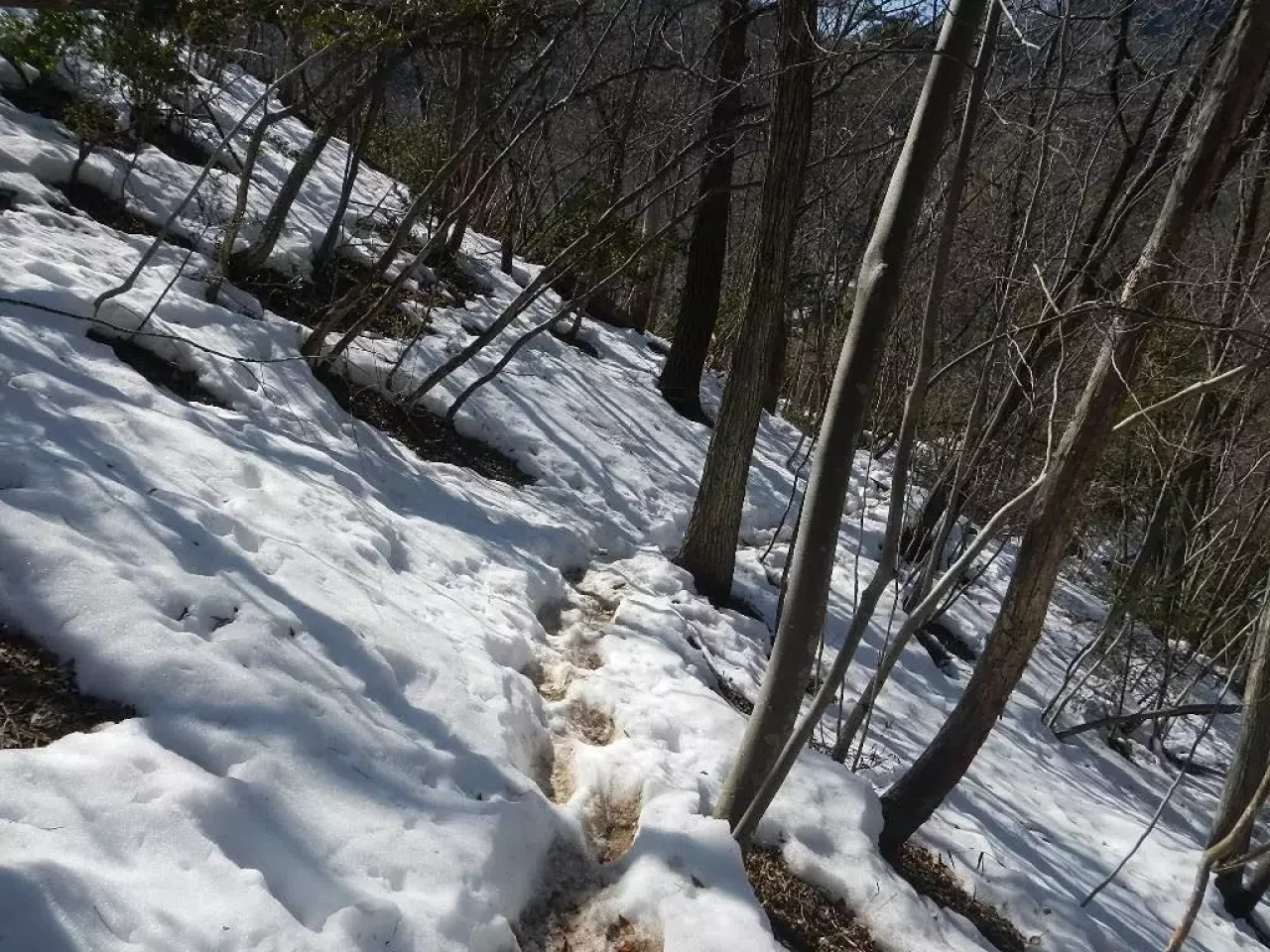 岩殿山 登山 登山道