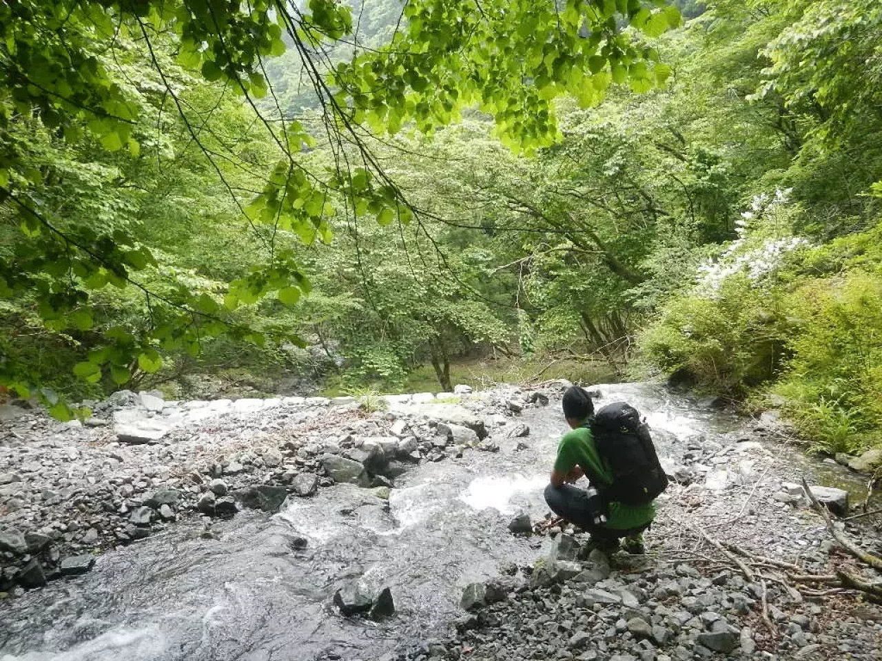 丹沢 鍋割山 沢沿い